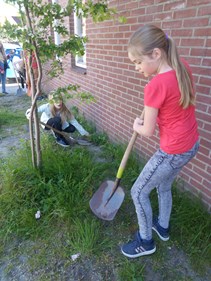 IMG_20190515_134143