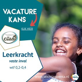 Ceder vaste inval met link naar meesterbaan (1)